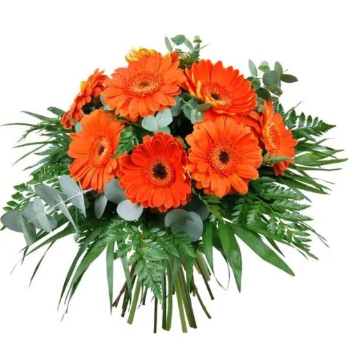 bouquet of gerberas -Super